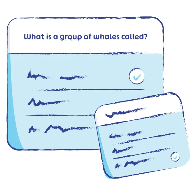03-quizzes - What is a group of whales called?
