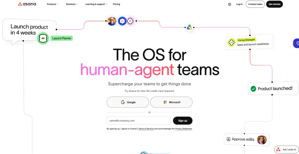 Asana task and project management interface