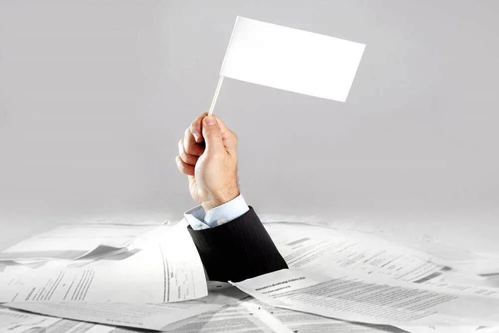Move from Chaos to clarity with Whale