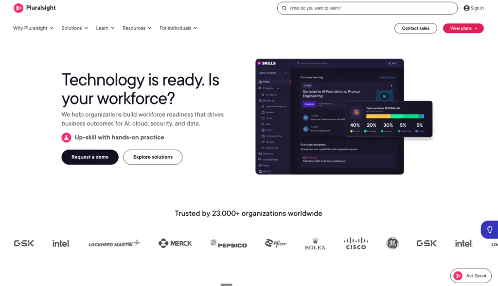 Pluralsight showing technical skill assessments and pre-built learning paths for IT teams