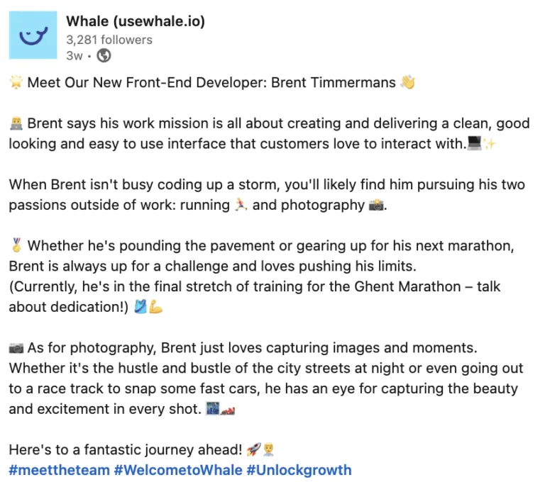 Whale meet the team