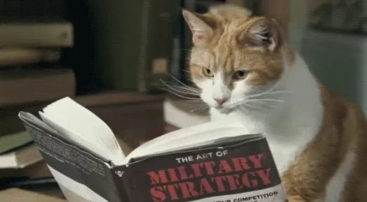 A cat utilizing SOP creation skills while reading a book about military strategy.