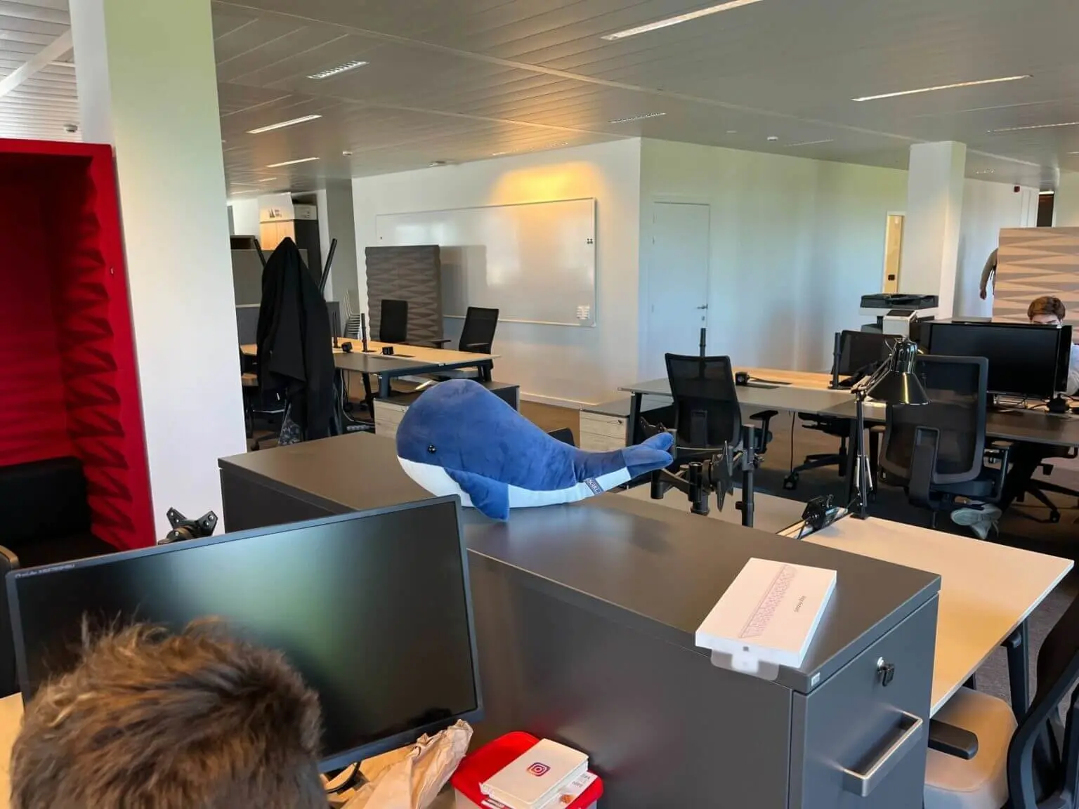 A plush blue whale sits on a desk divider in the Whale office