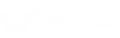 The whale logo on a black background representing brand identity.