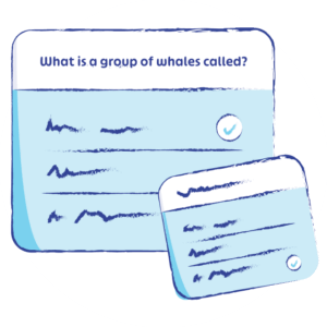03-quizzes - What is a group of whales called?