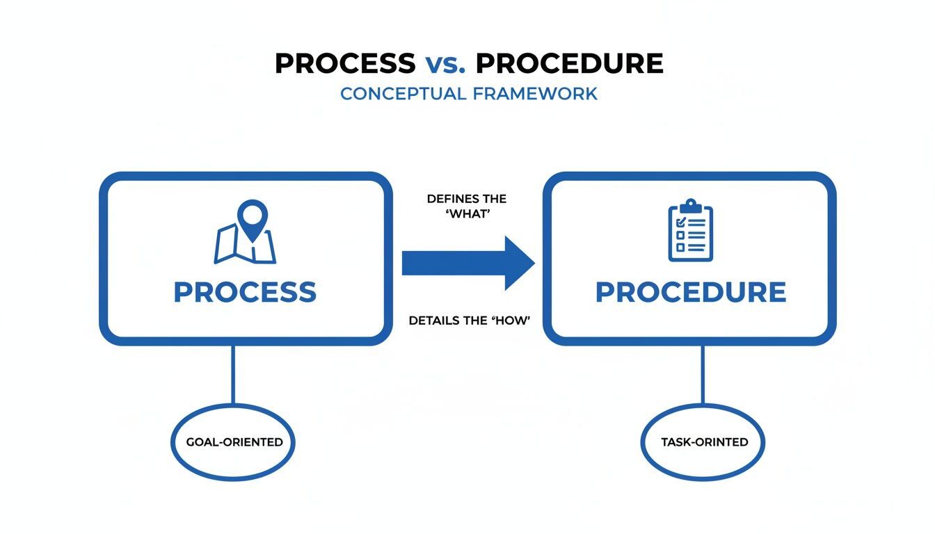 Conceptual framework diagram illustrating the difference between process (what, goal-oriented) and procedure (how, task-oriented).