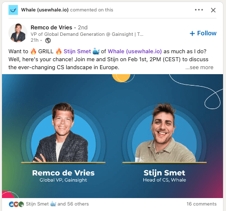 Stijn Smet Whale ambassador