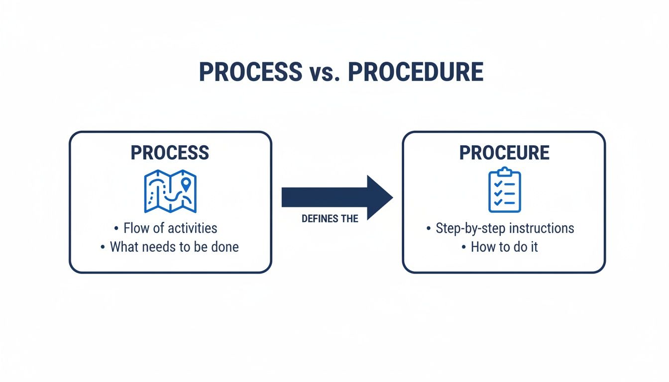An infographic illustrating the distinction between a process (what to do) and a procedure (how to do it).