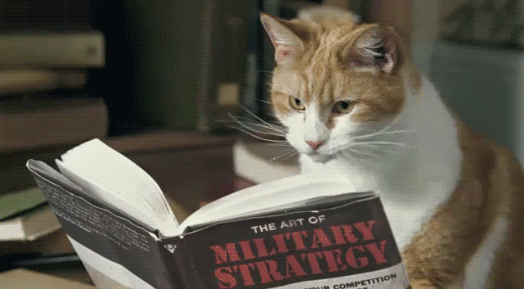 A cat utilizing SOP creation skills while reading a book about military strategy.