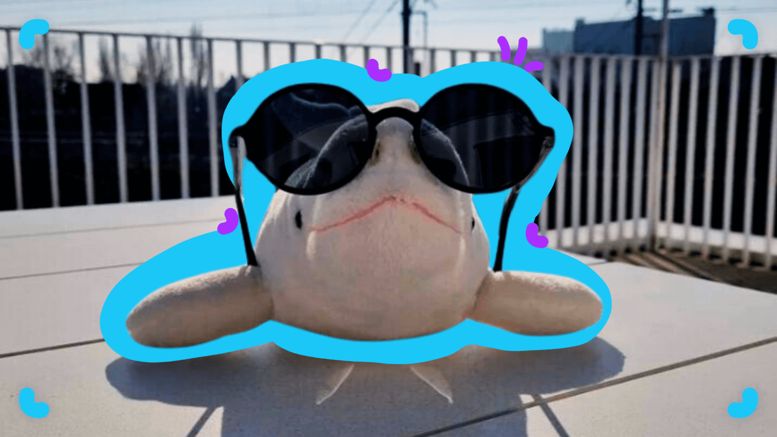 A Whale with sunglasses on a table