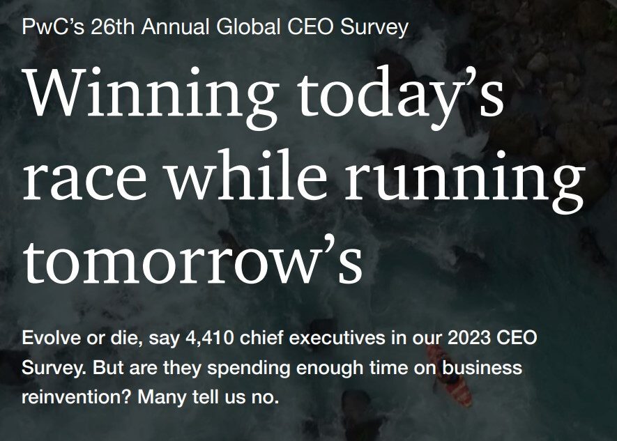 PWC annual CEO survey
