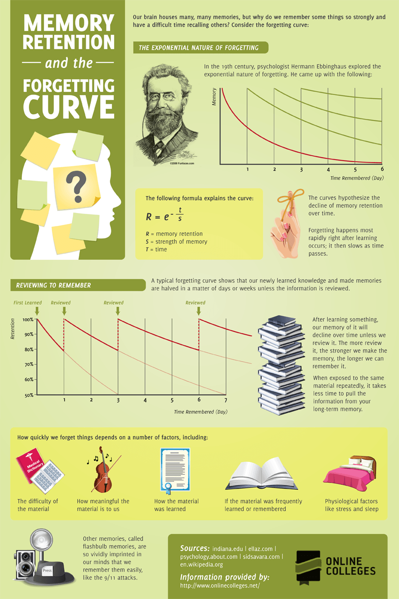How to Overcome the Forgetting Curve - Whale
