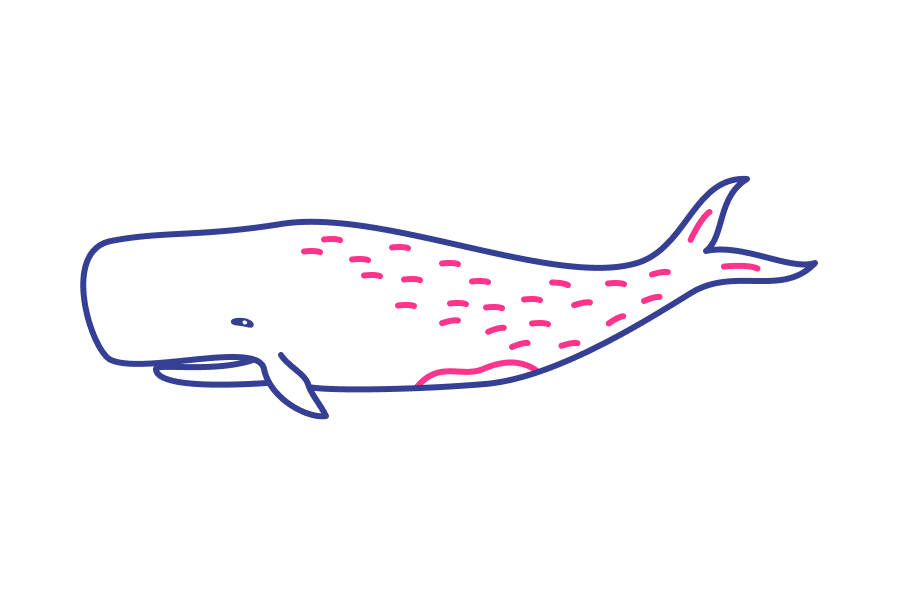 An illustration of a whale with pink spots, showcasing my knowledge in SOPs and employee training.