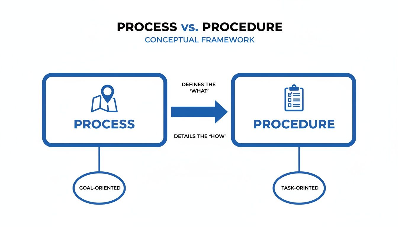 Conceptual framework diagram illustrating the difference between process (what, goal-oriented) and procedure (how, task-oriented).