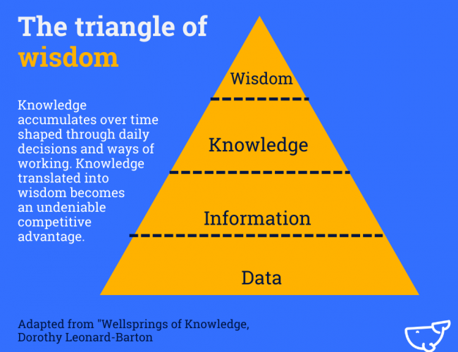 Whale Knowledge Transfer Triangle blog